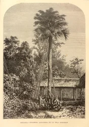 Neue universelle Geographie